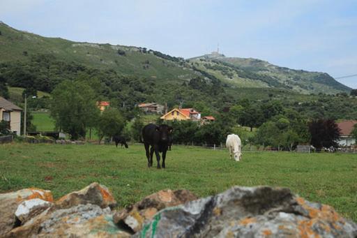 Vivienda Rural La Mazuga